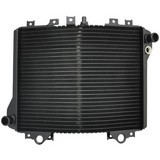 Kawasaki Zx1100 Zx-11 Zzr1100 D1-D9 1992-2002 Radiator